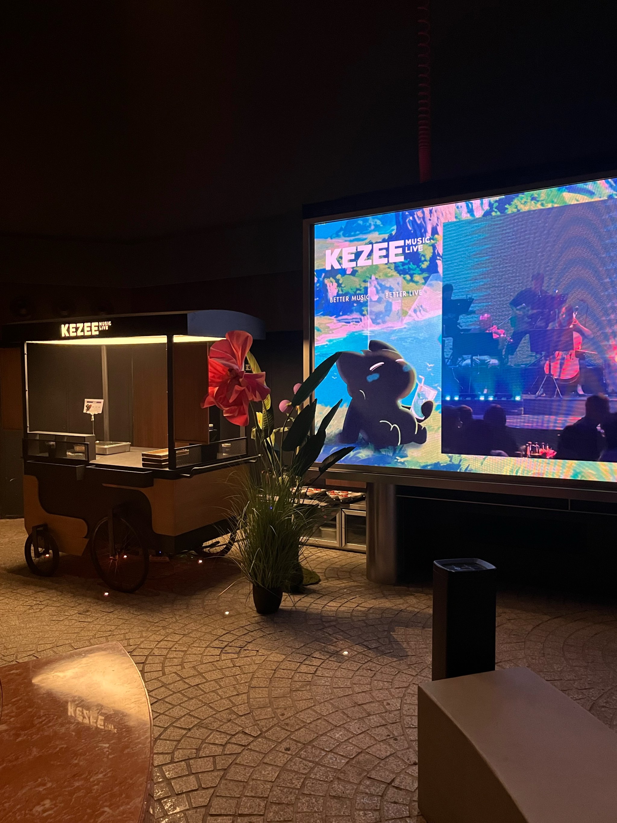 张家口中低端商务ktv-怀安县ktv预订